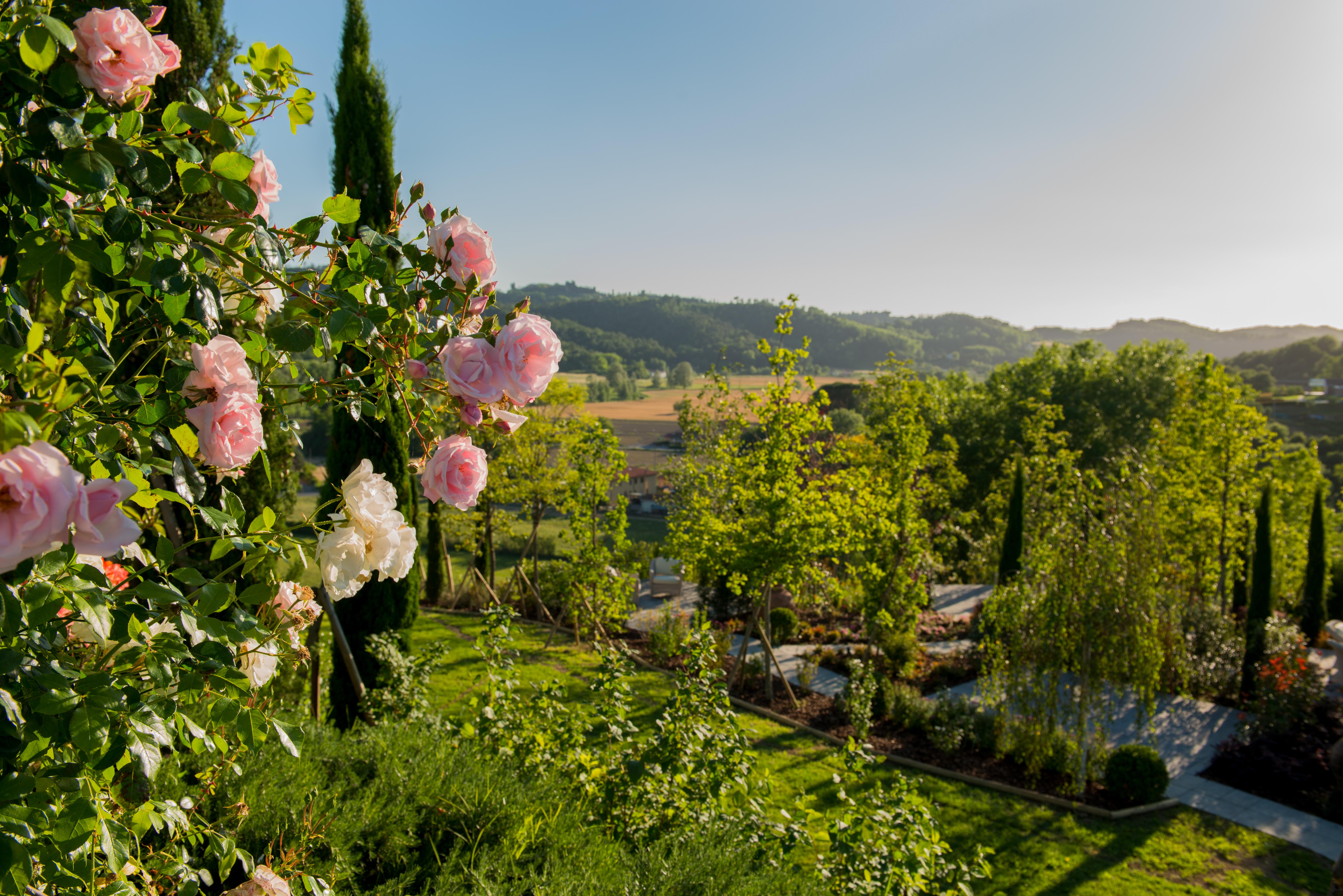 فندق Relais Sassa Al Sole سان مينياتو المظهر الخارجي الصورة